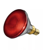 iShopping - Beurer Spare Bulb For Infrared Lamp 150W (616.51)