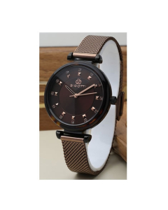 Bigotti Montre Femme's Stainless Steel Women's Watch Brown (BG.1.10179-6)
