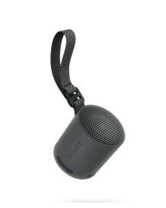 Sony Portable Wireless Speaker (SRS-XB100)-Black