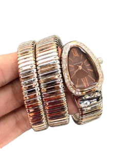 Charming Closet Snake Style Chain Women Watch-Dark Brown