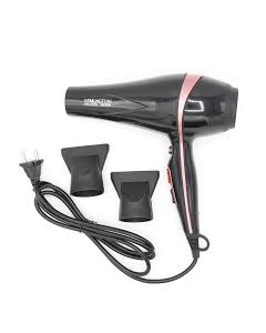 Panasonic Professional Saloon Dual Mode Hair Dryer (PA-4400)