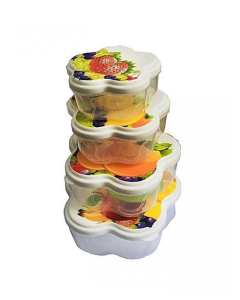 Israr Mall Plastic Patterned Food Container Pack Of 4