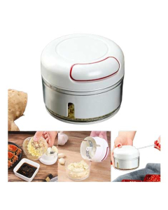 Promax Mini Chopper
