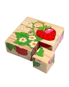 Planet X Universal Wooden Cubic Blocks Fruits Puzzle (PX-11963)