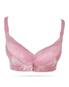 Purple Bag Fancy Soft Padded Wireless Lace Bra Pink (0057)