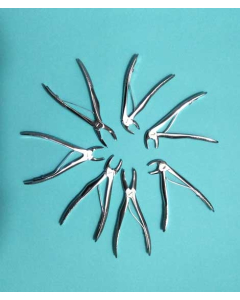 Dental Plier (Set of 7 pcs) Surgical Items, Ent ,Medical Items